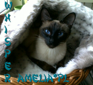 20101208756