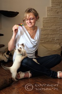 Miot F Viosna*PL - zabawa piórkami (playing with the feathers)