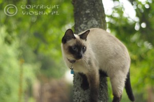 _DSC0345