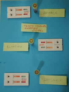 Wyniki testów kontrolnych FIV/FeLV w hodowli Viosna*PL