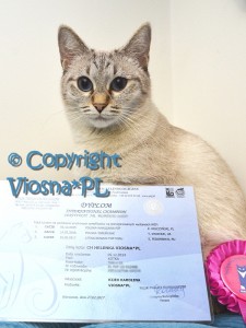_ZEN2143