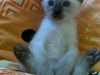 02-miot-a-viosna-pl