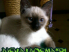 19-miot-a-viosna-pl