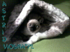 25-miot-a-viosna-pl