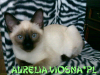 26-miot-a-viosna-pl