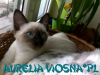 27-miot-a-viosna-pl