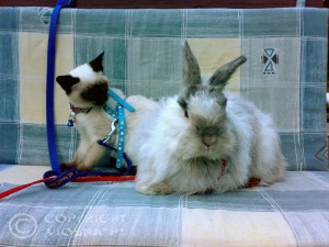 Whisper & Manfred