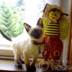 Whisper - pierwsze dni u nas (first days at home)