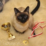 Whisper - Best in Variety