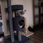 Melman Viosna*PL i Fretka