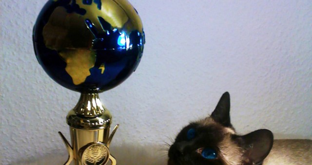 III miejsce Best of Best!