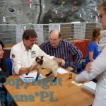 Elmirka Viosna*PL podczas oceny