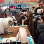 Helenka Viosna*PL