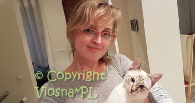 Z wizytą u Kevina