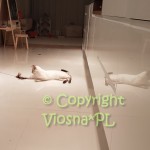 Kevin Viosna*PL