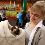 Elmirka Viosna*PL w oczekiwaniu na porównanie