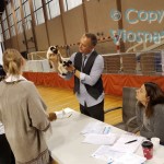 Elmirka Viosna*PL podczas oceny