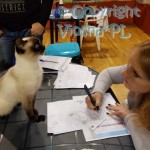 Elmirka Viosna*PL podczas oceny