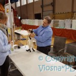 Elmirka Viosna*PL podczas oceny