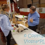 Viosna*PL podczas oceny
