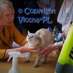 Helenka podczas oceny