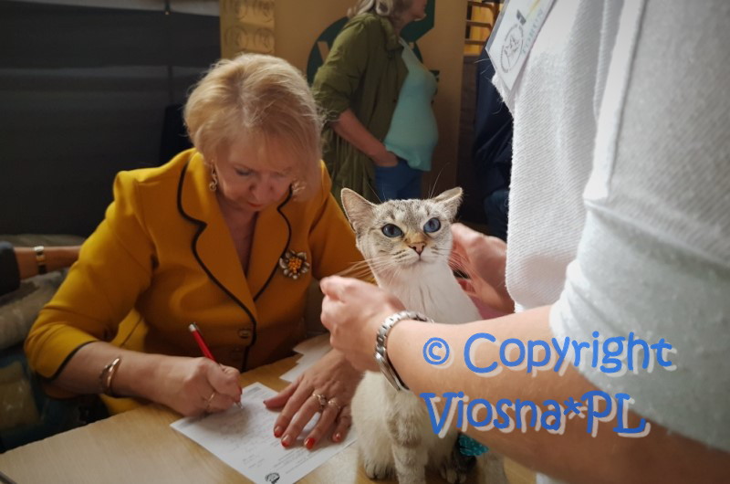 Międzynarodowa Wystawa Kotów - Toruń 16-17.09.2018