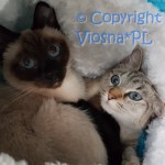 Elmirka & Helenka
