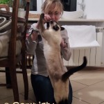Karamba (vel Lucy) Viosna*PL