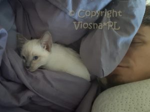 Zuzia Viosna*PL