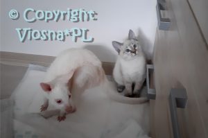 Zosia & Joey