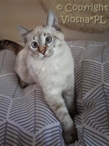 Zosia Viosna*PL