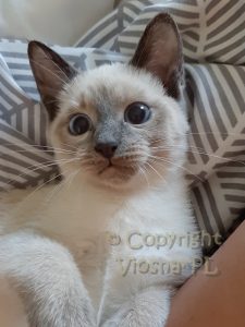 Zuzia Viosna*PL