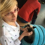 Elmirka czekająca na ocenę