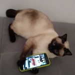 Karamba (vel Lucy) Viosna*PL