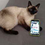 Karamba (vel Lucy) Viosna*PL