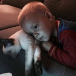 Orfeusz Viosna*PL (Lee) i Staś