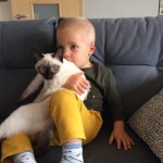 Orfeusz Viosna*PL (Lee) i Staś