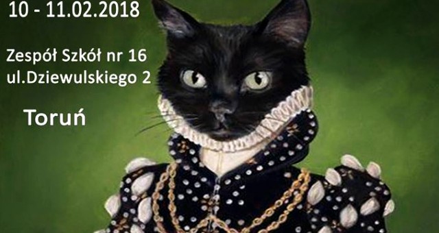 Międzynarodowa Wystawa Kotów – Toruń 2018