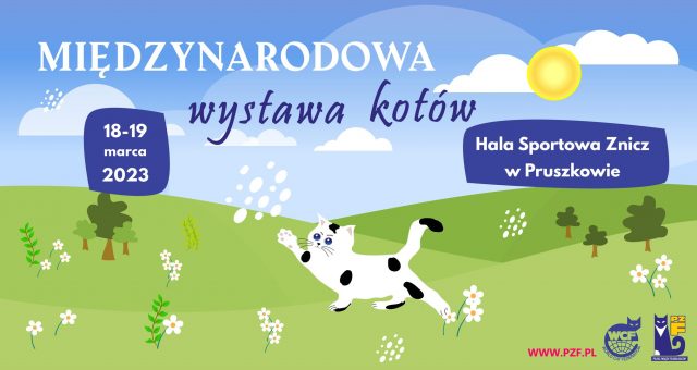 Międzynarodowa wystawa kotów – Pruszków 2023