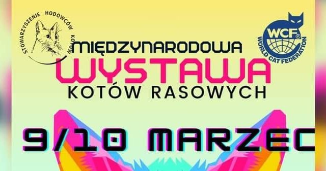 Międzynarodowa Wystawa Kotów – Toruń 2024