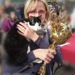 Dziabąg - kot publiczności (cat of the audience)