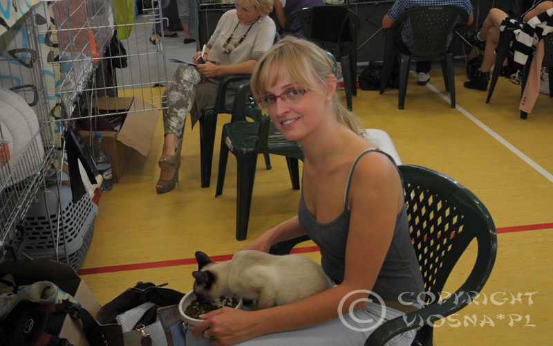 Międzynarodowa Wystawa Kotów Rasowych – Toruń, 13-14.09.2014