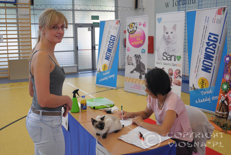 Międzynarodowa Wystawa Kotów Rasowych – Toruń, 13-14.09.2014