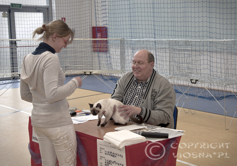 Międzynarodowa wystawa kotów rasowych – Toruń, 15-16.02.2014