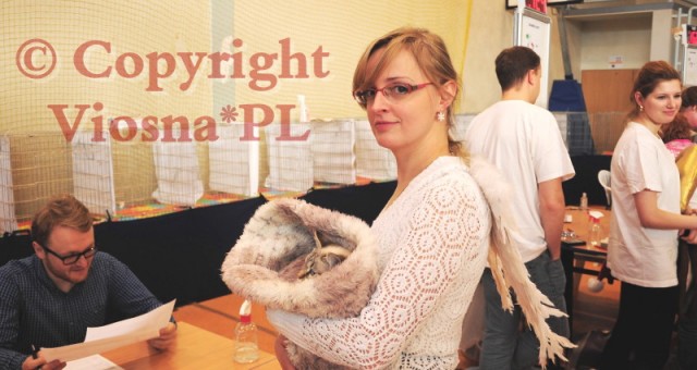 Mikołajkowa Wystawa w Warszawie 2015