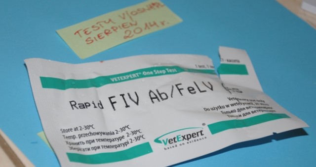 Kontrolne testy na FIV i FeLV – 2014