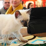 Heidi Viosna*PL