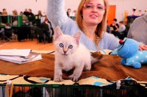 Helenka Viosna*PL