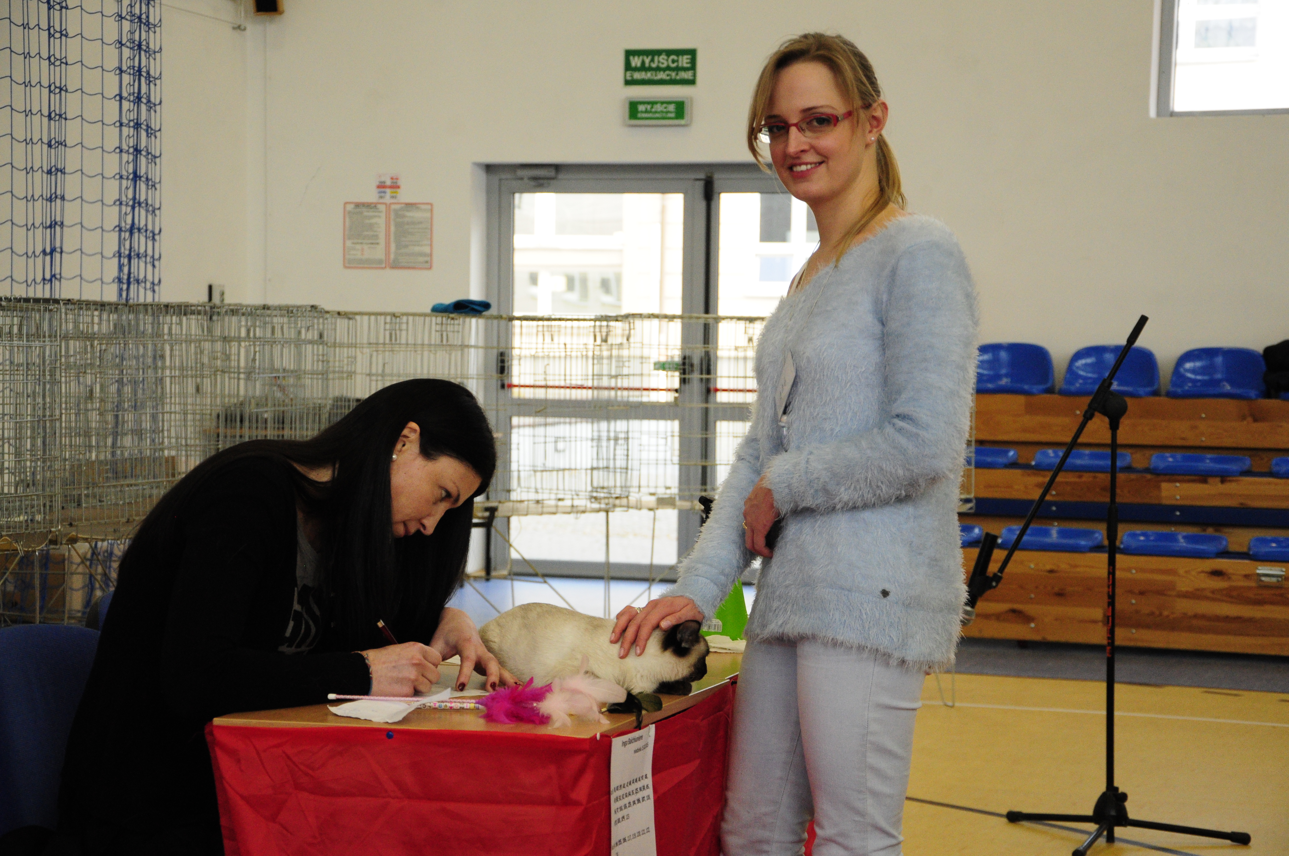 Międzynarodowa Wystawa Kotów Rasowych – Toruń 14-15.02.2015