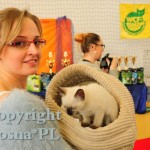 Miot H Viosna*PL